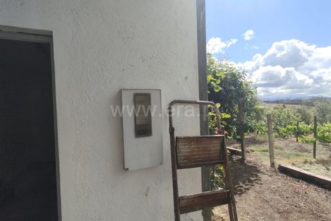 Helårsgrund i Carregal do Sal, Viseu, Carregal do Sal - € 42.000 | Ref: 389250141 - foto 8