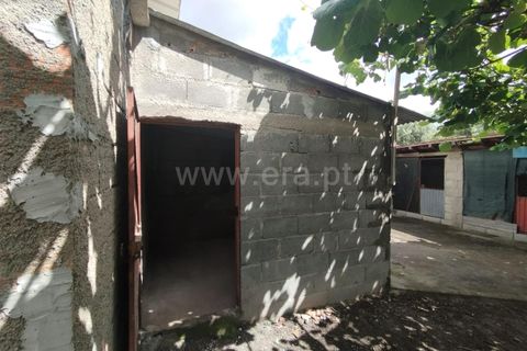 Helårsgrund i Carregal do Sal, Viseu, Carregal do Sal - € 42.000 | Ref: 389250141 - foto 9