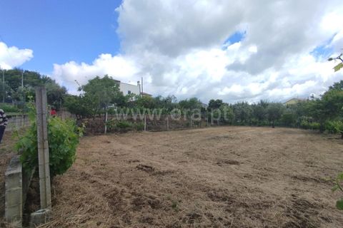 Helårsgrund i Carregal do Sal, Viseu, Carregal do Sal - € 42.000 | Ref: 389250141 - foto 14