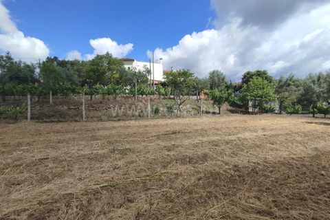 Helårsgrund i Carregal do Sal, Viseu, Carregal do Sal - € 42.000 | Ref: 389250141 - foto 16