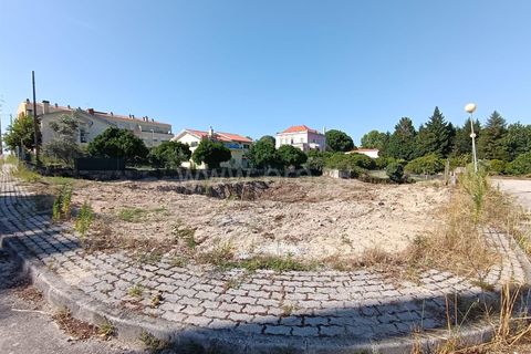 Terra a Nelas, Viseu, Nelas - € 50.000 | Ref: 389240094 - foto 2