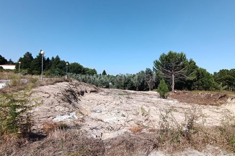 Terra a Nelas, Viseu, Nelas - € 50.000 | Ref: 389240094 - foto 4