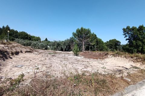 Terra a Nelas, Viseu, Nelas - € 50.000 | Ref: 389240094 - foto 5