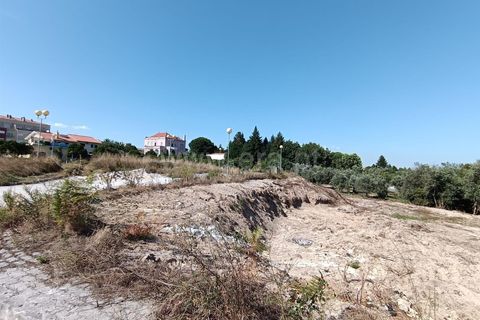 Terra a Nelas, Viseu, Nelas - € 50.000 | Ref: 389240094 - foto 6