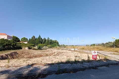 Terra a Nelas, Viseu, Nelas - € 50.000 | Ref: 389240094 - foto 7