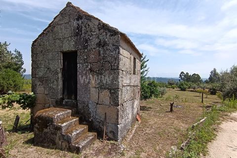 Helårsgrund i Viseu, Viseu, Viseu - € 25.000 | Ref: 389240097 - foto 1