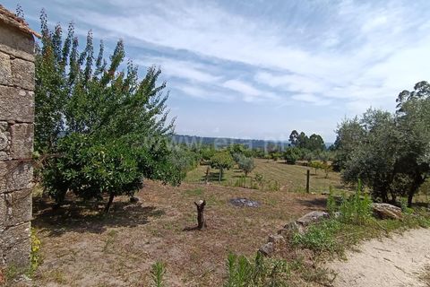 Helårsgrund i Viseu, Viseu, Viseu - € 25.000 | Ref: 389240097 - foto 2