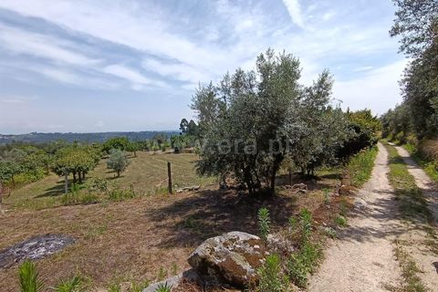 Helårsgrund i Viseu, Viseu, Viseu - € 25.000 | Ref: 389240097 - foto 3