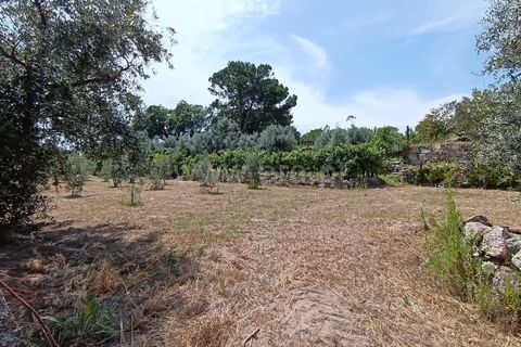 Helårsgrund i Viseu, Viseu, Viseu - € 25.000 | Ref: 389240097 - foto 4