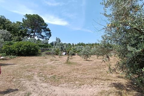 Helårsgrund i Viseu, Viseu, Viseu - € 25.000 | Ref: 389240097 - foto 5