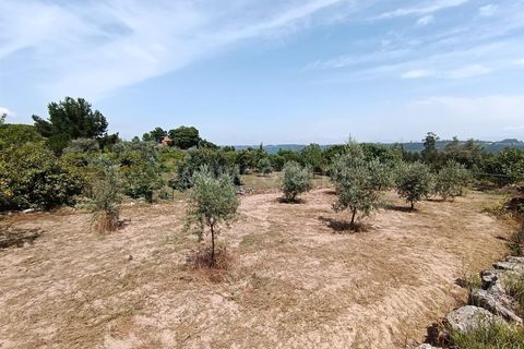 Helårsgrund i Viseu, Viseu, Viseu - € 25.000 | Ref: 389240097 - foto 6