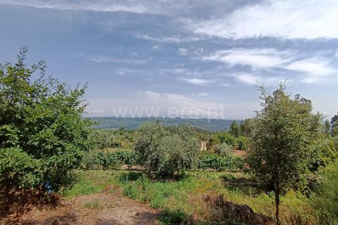 Helårsgrund i Viseu, Viseu, Viseu - € 25.000 | Ref: 389240097 - foto 7