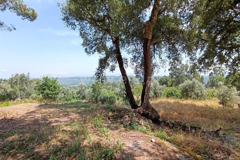 Helårsgrund i Viseu, Viseu, Viseu - € 25.000 | Ref: 389240097 - foto 8