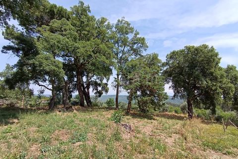 Helårsgrund i Viseu, Viseu, Viseu - € 25.000 | Ref: 389240097 - foto 9