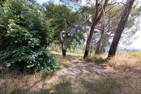 Helårsgrund i Viseu, Viseu, Viseu - € 25.000 | Ref: 389240097 - foto 10