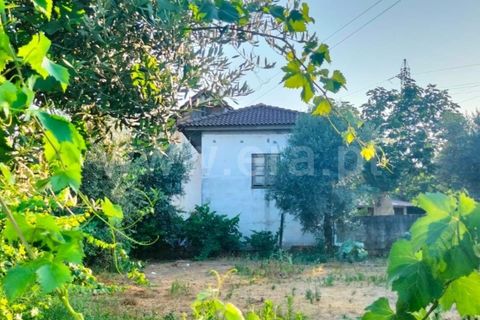 Landejendom i Mangualde, Viseu, Mangualde - € 32.000 | Ref: 389250142 - foto 3