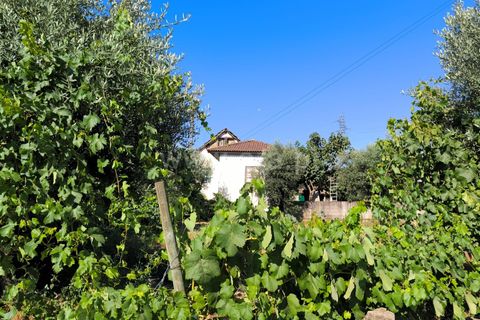 Landejendom i Mangualde, Viseu, Mangualde - € 32.000 | Ref: 389250142 - foto 4
