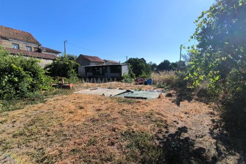 Landejendom i Mangualde, Viseu, Mangualde - € 32.000 | Ref: 389250142 - foto 6