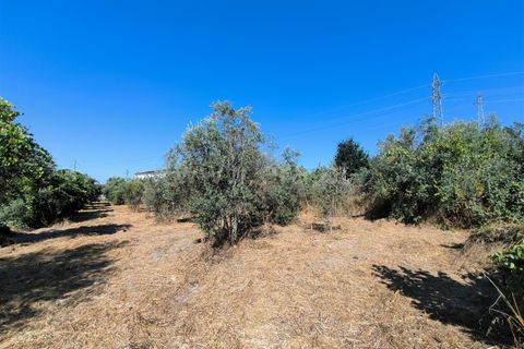 Landejendom i Mangualde, Viseu, Mangualde - € 32.000 | Ref: 389250142 - foto 7