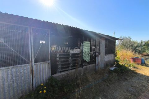 Landejendom i Mangualde, Viseu, Mangualde - € 32.000 | Ref: 389250142 - foto 8
