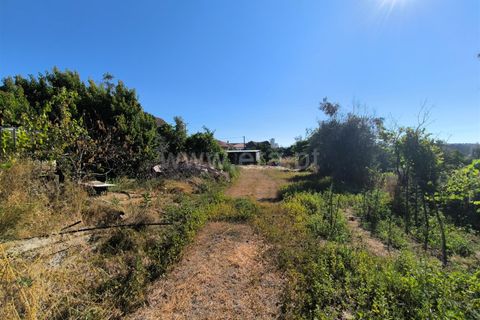 Landejendom i Mangualde, Viseu, Mangualde - € 32.000 | Ref: 389250142 - foto 9