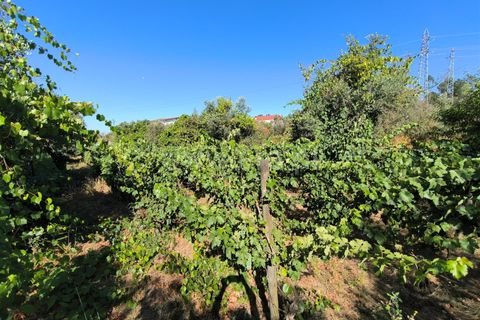 Landejendom i Mangualde, Viseu, Mangualde - € 32.000 | Ref: 389250142 - foto 11