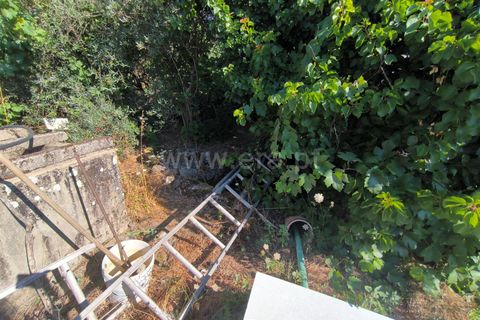 Landejendom i Mangualde, Viseu, Mangualde - € 32.000 | Ref: 389250142 - foto 12