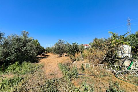 Landejendom i Mangualde, Viseu, Mangualde - € 32.000 | Ref: 389250142 - foto 13