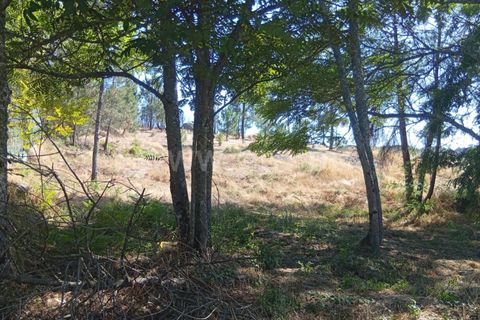 Helårsgrund i Mangualde, Viseu, Mangualde - € 17.000 | Ref: 389250180 - foto 1