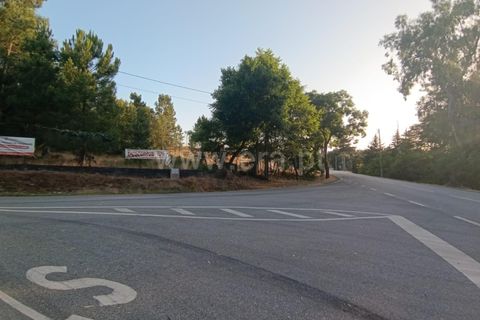 Helårsgrund i Mangualde, Viseu, Mangualde - € 17.000 | Ref: 389250180 - foto 2