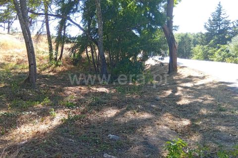 Helårsgrund i Mangualde, Viseu, Mangualde - € 17.000 | Ref: 389250180 - foto 3