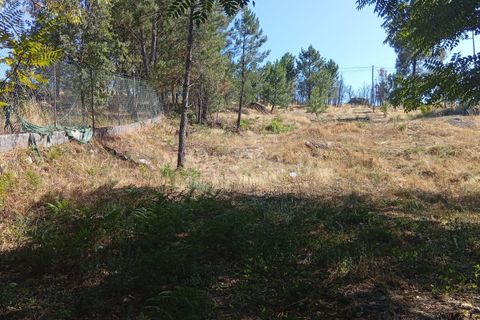 Helårsgrund i Mangualde, Viseu, Mangualde - € 17.000 | Ref: 389250180 - foto 4