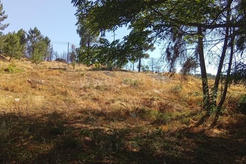 Helårsgrund i Mangualde, Viseu, Mangualde - € 17.000 | Ref: 389250180 - foto 5