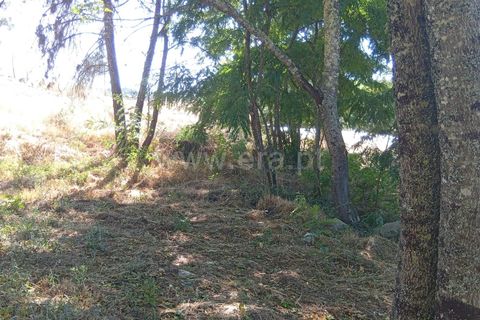 Helårsgrund i Mangualde, Viseu, Mangualde - € 17.000 | Ref: 389250180 - foto 6