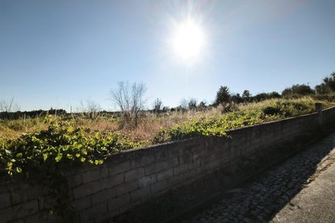Helårsgrund i Mangualde, Viseu, Mangualde - € 19.000 | Ref: 389250161 - foto 1