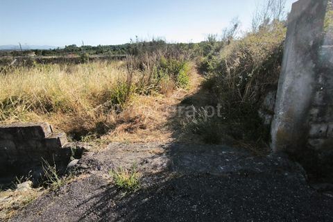 Helårsgrund i Mangualde, Viseu, Mangualde - € 19.000 | Ref: 389250161 - foto 2
