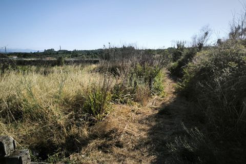 Helårsgrund i Mangualde, Viseu, Mangualde - € 19.000 | Ref: 389250161 - foto 4