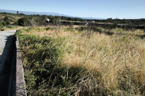 Helårsgrund i Mangualde, Viseu, Mangualde - € 19.000 | Ref: 389250161 - foto 5