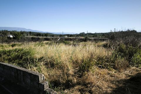 Helårsgrund i Mangualde, Viseu, Mangualde - € 19.000 | Ref: 389250161 - foto 6