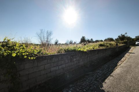 Helårsgrund i Mangualde, Viseu, Mangualde - € 19.000 | Ref: 389250161 - foto 8