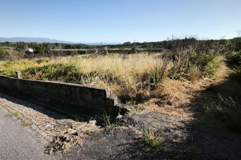 Helårsgrund i Mangualde, Viseu, Mangualde - € 19.000 | Ref: 389250161 - foto 9