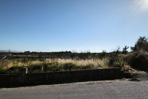 Helårsgrund i Mangualde, Viseu, Mangualde - € 19.000 | Ref: 389250161 - foto 11