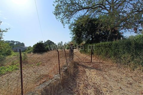 Terra a Nelas, Viseu, Nelas - € 190.000 | Ref: 389250173 - foto 3
