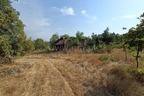 Terra a Nelas, Viseu, Nelas - € 190.000 | Ref: 389250173 - foto 5