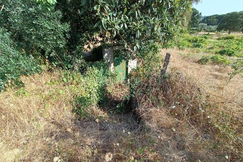 Terra a Nelas, Viseu, Nelas - € 190.000 | Ref: 389250173 - foto 6