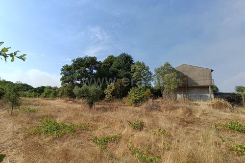 Terra a Nelas, Viseu, Nelas - € 190.000 | Ref: 389250173 - foto 7