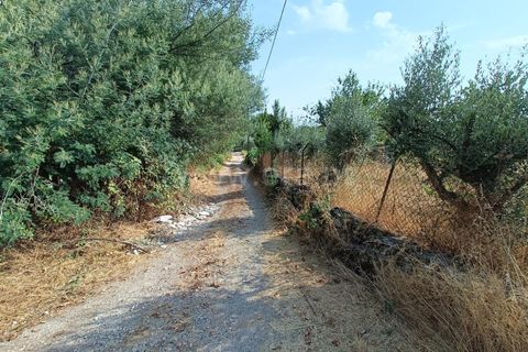 Terra a Nelas, Viseu, Nelas - € 190.000 | Ref: 389250173 - foto 8