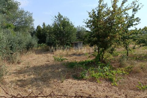 Terra a Nelas, Viseu, Nelas - € 190.000 | Ref: 389250173 - foto 10