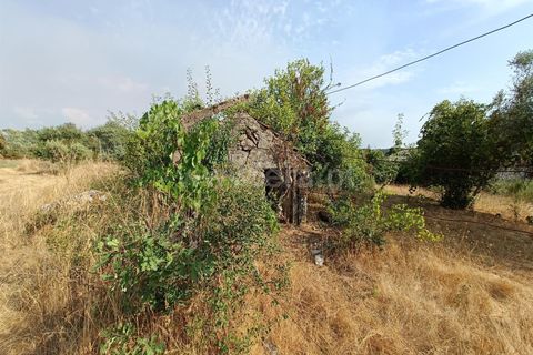 Terra a Nelas, Viseu, Nelas - € 190.000 | Ref: 389250173 - foto 12