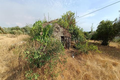 Terra a Nelas, Viseu, Nelas - € 190.000 | Ref: 389250173 - foto 13